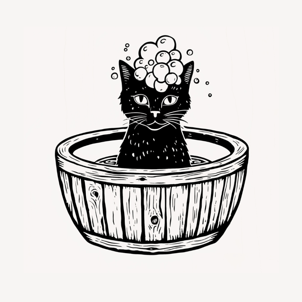 🐾猫を安心して洗うための基本ガイド