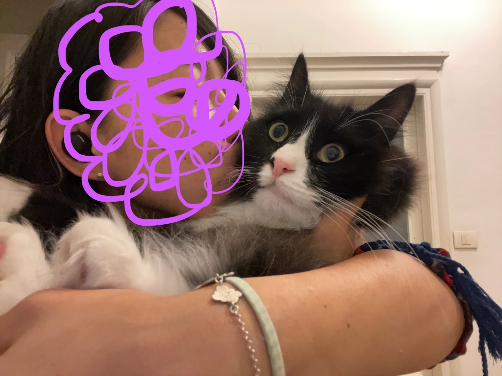 心を無にする猫