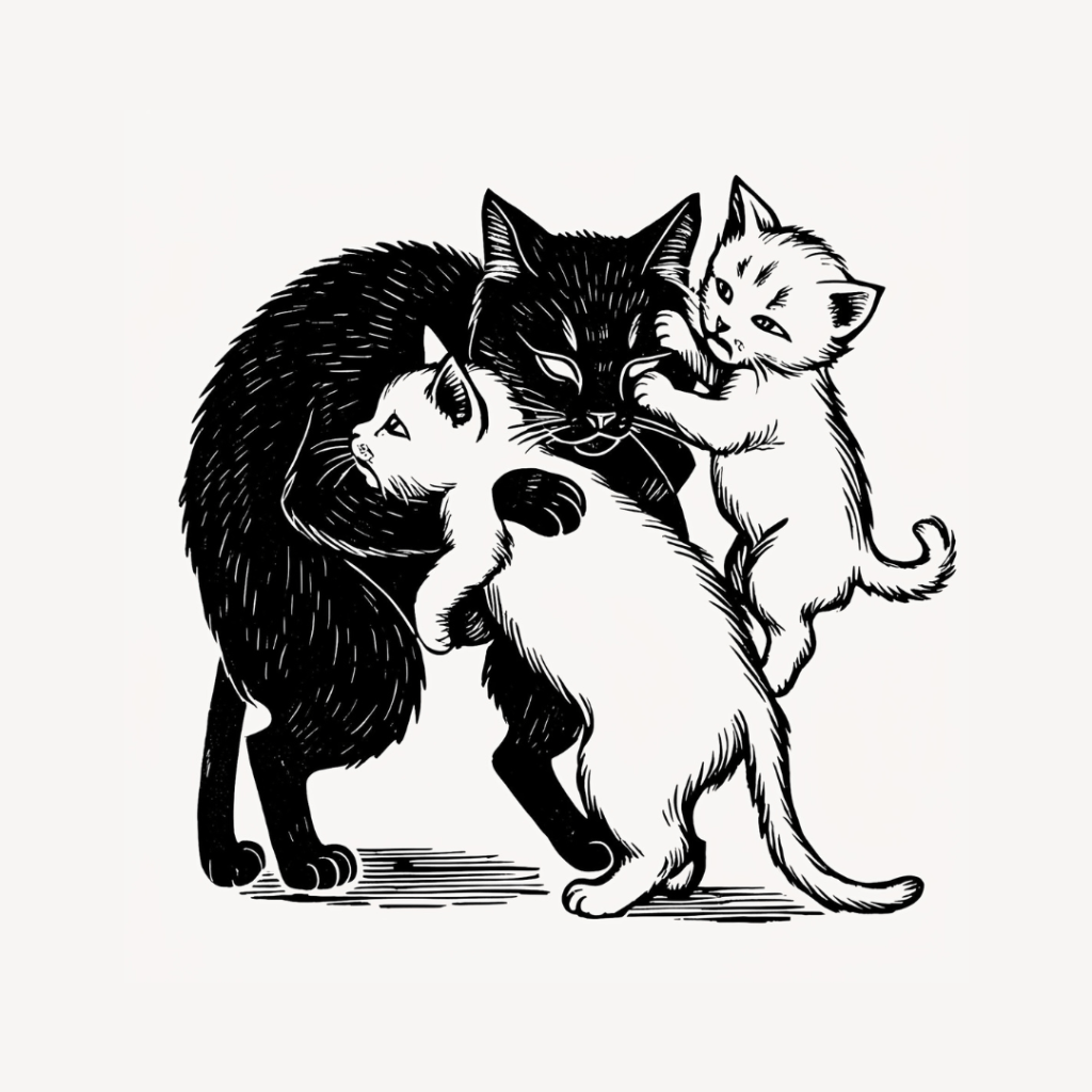 🐾猫を迎えたあなたへ